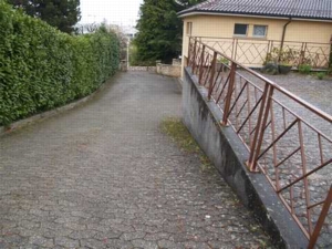 Dach .Terrassen .Fassadenreinigung Von Moss